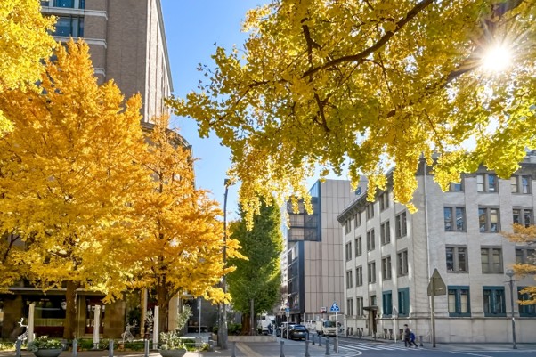 エリア別に見る横浜の立地特性